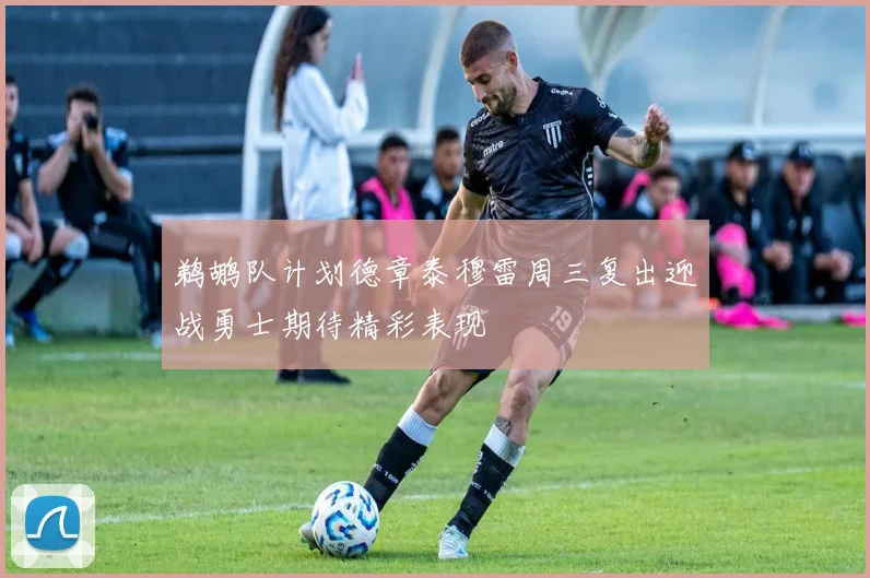 鹈鹕队计划德章泰穆雷周三复出迎战勇士期待精彩表现