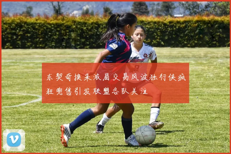 东契奇换来浓眉交易风波独行侠疯狂兜售引发联盟各队关注