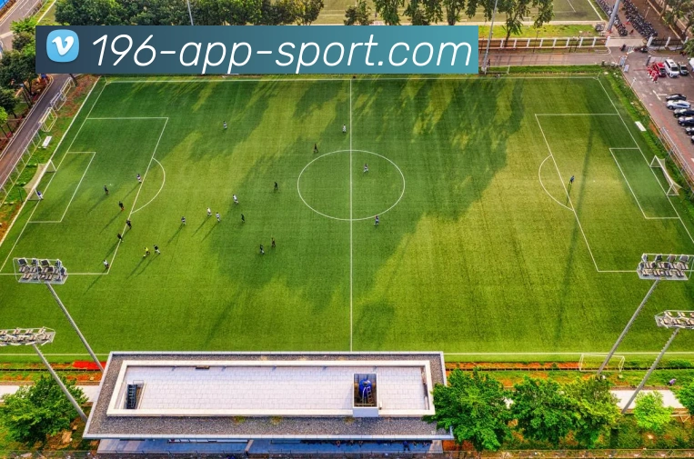 196体育平台生态图