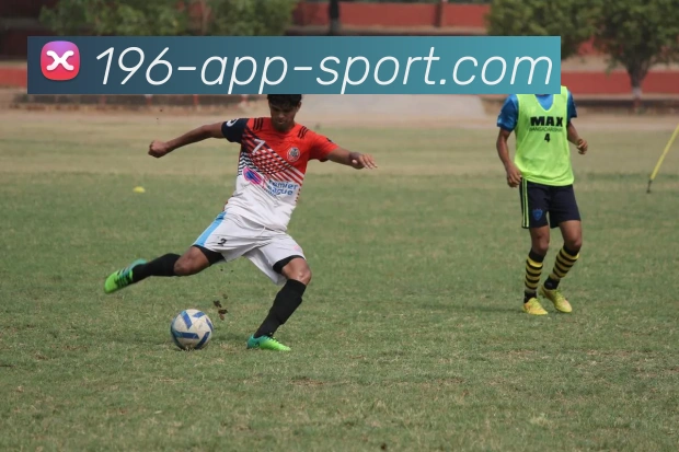 196体育APP 封面图